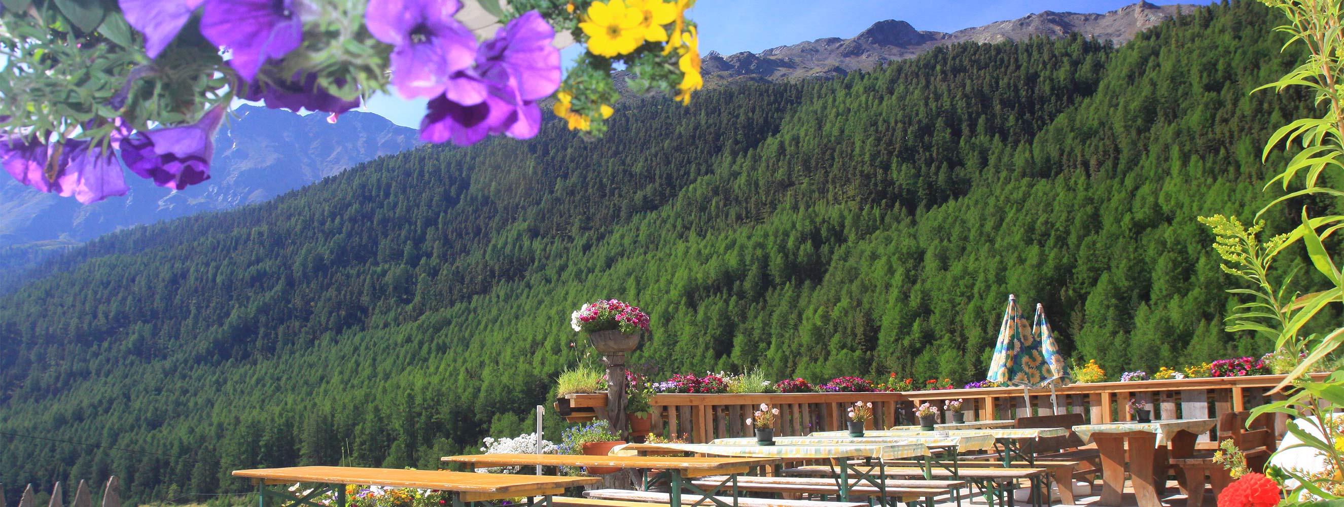 Terrasse am Marchegghof