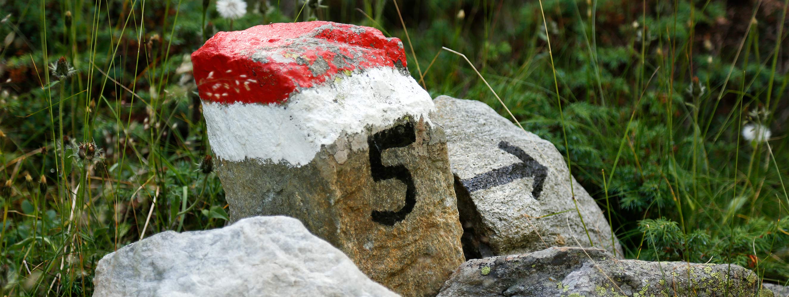 Wandern und Freizeit im Schnalstal